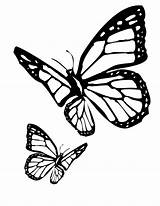 Butterfly Coloring Drawing Outline Tattoo Pages Template Monarch Gardens Designs sketch template
