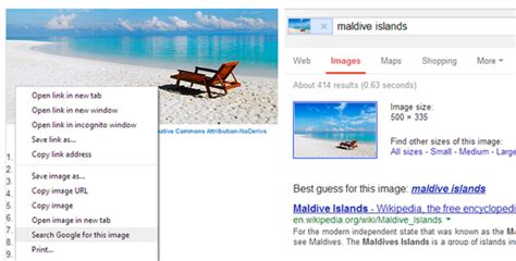 google chrome beta  search  image option instant fundas