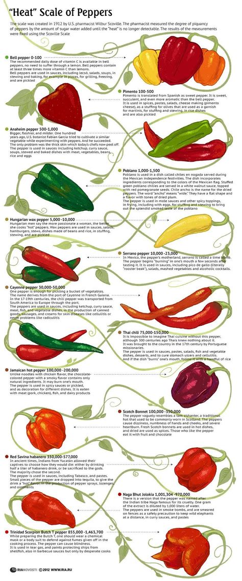 top  cooking infographics
