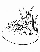 Pond Coloring Pages Lotus Flower Drawing Animals Growing Water Flowers Summer Getdrawings Getcolorings Color Lily Jpeg Chinese Surprising Colorings sketch template