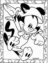 Animaniacs Coloring Pages Sullivan Bluth Studios Kids Drawing Bestcoloringpagesforkids Warner sketch template