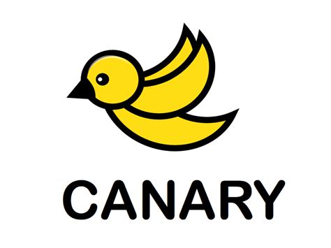 canary  john ballinger  dribbble