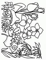 Spring Coloring Pages Printable Clipart Flowers Library sketch template