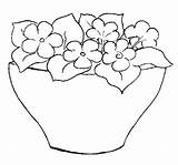 Coloring Primula Primroses Spring 628px 21kb Kids sketch template