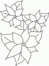 Coloring Poinsettia Pages Kids Printable Spanish Crafts Christmas Color Print Mistletoe Rudolph Book Bestcoloringpagesforkids Popular sketch template