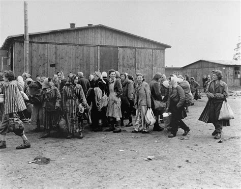 evacuating female political prisoners from bergen belsen collections