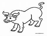 Bull Coloring Bulls Colormegood Animals sketch template