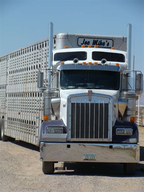 featured bull hauler big rig trucks big trucks kenworth trucks