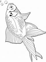 Goldfish Coloring Pages Printable Fish Color Getcolorings Recommended Goldfishes sketch template