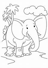 Elefanti Elefante Pianetabambini Singolarmente Versione sketch template