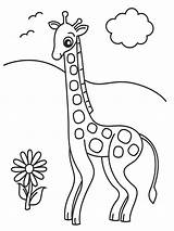 Giraffe Coloring Pages Drawing Animals Printable Kb Getdrawings Books sketch template