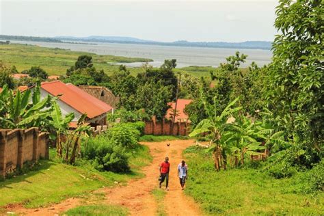 More Than Just A Stopover 7 Wonderful Things To Do In Entebbe Uganda