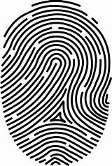 Fingerprint Biometric Scanner Clipart Vector Digital Thumbprint Transparent Biometrics Print Arch Finger Reader Access Control Drawing Clip Thumb Logo Graphics sketch template