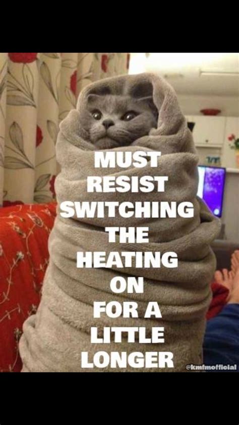 Pin By Rachel Goodwin On Quotations Hvac Humor Cold Weather Funny