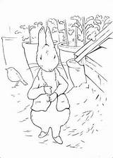 Rabbit Konijn Pieter Ausmalbilder Coloriages Lapins Tekening Kaninchen Beatrix Pintar Malvorlagen sketch template