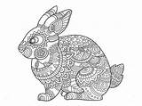 Rabbit Hase Zentangle Ausmalen Mandalas Boek Kleurende Hasen Rabbits Kaninchen Ostern Vorlagen Volwassenen Dentistmitcham sketch template