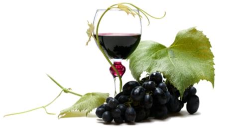 Interesting Facts About Australian Wine Industry