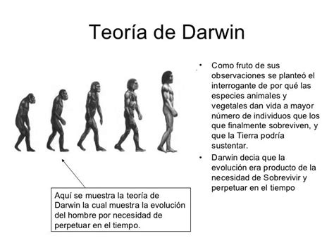 Teorías De La Evolución