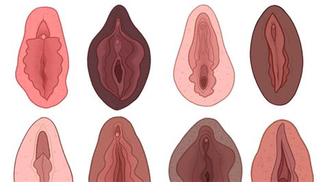 World S First Ever Vagina Museum To Open In In London