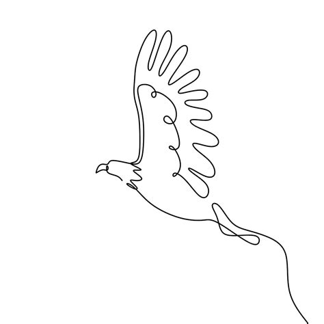 single   drawing eagle bird flying continuous vector