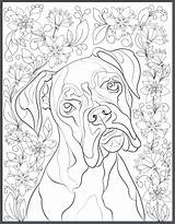 Coloring Pages Bernard Saint Dogs Getdrawings sketch template