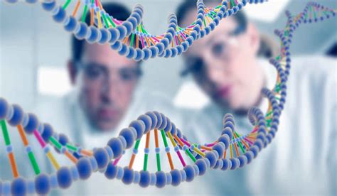 ¿que Es El Proyecto Del Genoma Humano Nanova