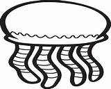 Coloring Pages Jellyfish sketch template
