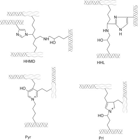 chemical structures   final collagen crosslink form  scientific diagram