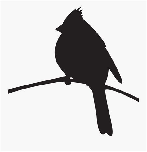 cardinal   branch silhouette  transparent clipart clipartkey