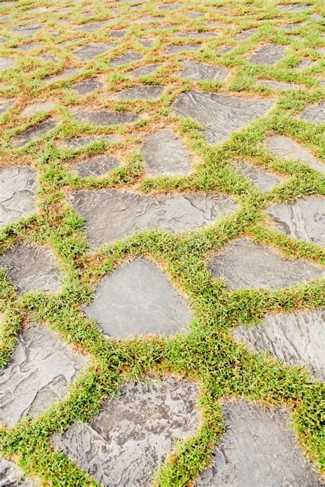 flagstone pavers  moss growing  stock photo image