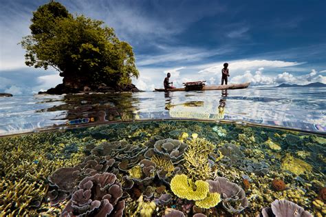 work nat geo celebrates earth day with a photography sale