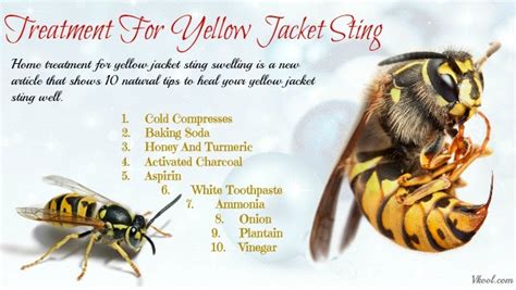 10 Tips Of Home Treatment For Yellow Jacket Sting Swelling