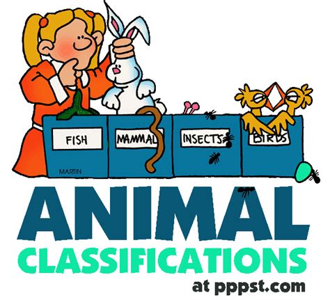 Scientific Classification Clipart 20 Free Cliparts Download Images On
