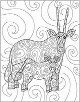 Macmillan Zendoodle Safari Coloring Animal Baby sketch template