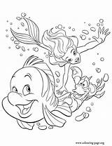 Flounder Arielle Ausmalbilder Meerjungfrau Colouring Tauchen Printable Malvorlagen sketch template