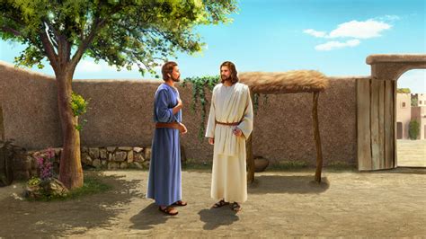 reasons  jesus giving peter keys   kingdom  heaven