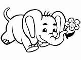 Elefante Bebé Imprimir sketch template