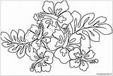 Pages Hawaiian Flower Coloring Color sketch template