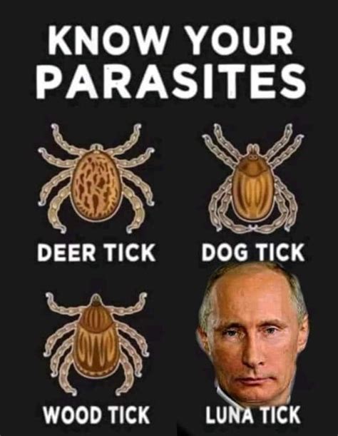 parasites meme  taylorp memedroid