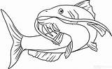 Coloring Bluegill Catfish Getcolorings Pages Color Printable sketch template