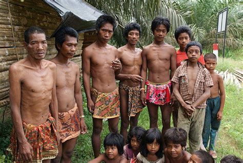 kubu anak dalam tribe indonesian cultures