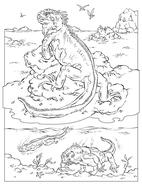 national geographic coloring book pages