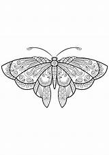 Papillon Insectos Insekten Insetti Erwachsene Colorare Insectes Disegni Adulti Justcolor Coloriages Papillons Jolis Malbuch Adultos Adultes Superbes Mariposas Miracle sketch template