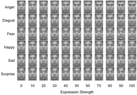 emotional facial action coding system paul ekman inti