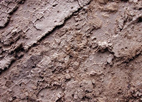 photo mud surface brown dirt earth   jooinn