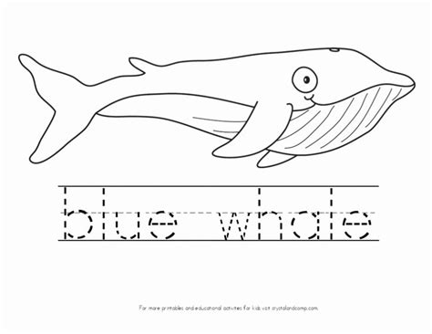 blue whale coloring page elegant kid color pages   sea kid