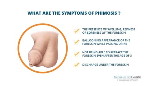 What Are Homeopathic Medicines For Phimosis Quora