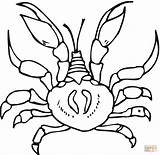 Crab Coloring Pages Crabs Printable Kids Adult Print Bestcoloringpagesforkids Crustacean Book Drawing Sheets Choose Board sketch template