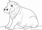 Hippo Baby Coloring Pages Cute Hippopotamus Drawing Line Kids Color Printable Getdrawings Getcolorings Print Coloringpages101 sketch template