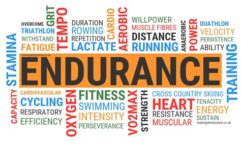 endurance definition training  fitness